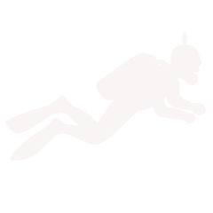 scuba diver facing right slightly shaded